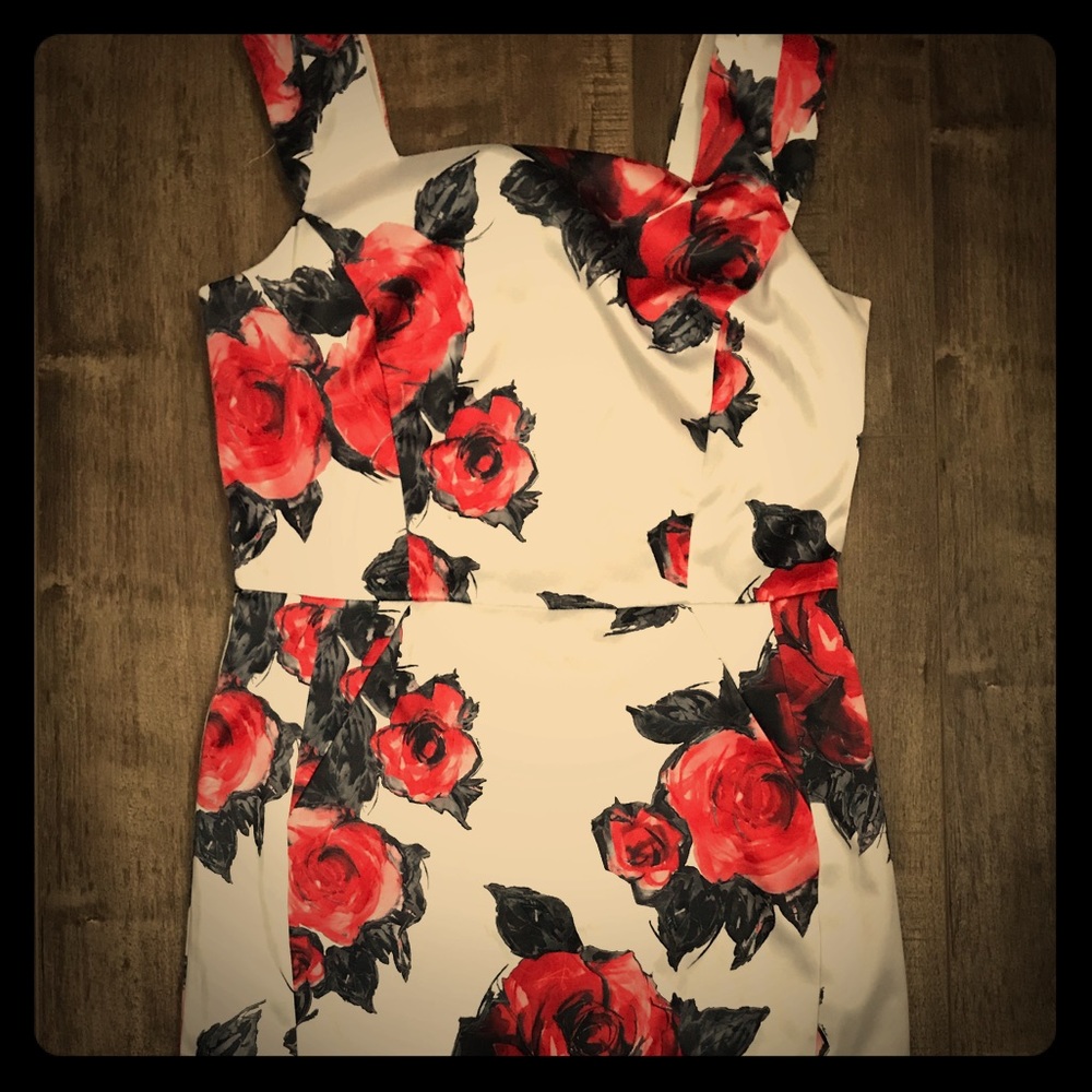 Joseph Ribkoff Rose Sheath Dress (sz 10)